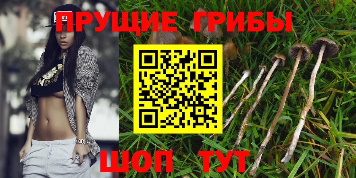 Псилоцибиновые грибы GOLDEN TEACHER  Вход с VPN  Галлюциногенные грибы мухоморы  Новоалтайск 