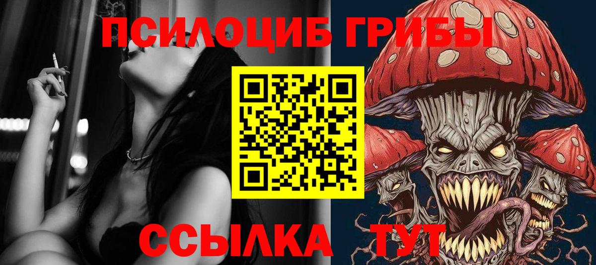 Псилоцибиновые грибы MAGIC MUSHROOMS Новоалтайск